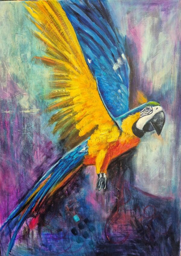 Bird